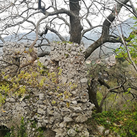 Borgo Terravecchia Giffoni Valle Piana 1984